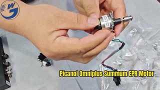 EPR MOTOR 피카놀 옴니플러스 서멈
